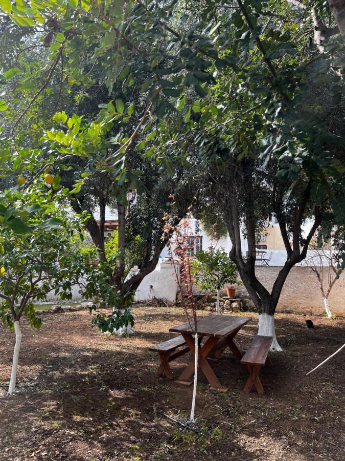 Two Olive Trees Guest House Spetses Town Exterior photo