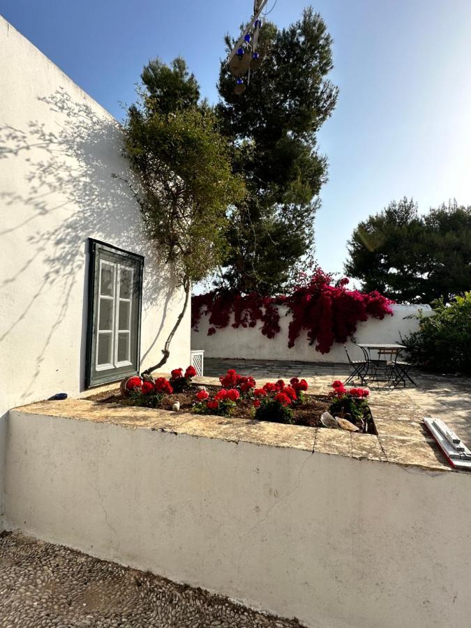 Two Olive Trees Guest House Spetses Town Exterior photo