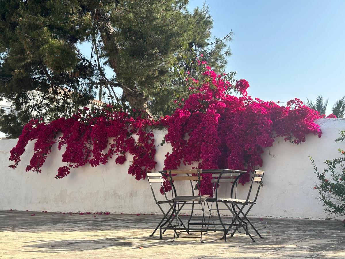 Two Olive Trees Guest House Spetses Town Exterior photo